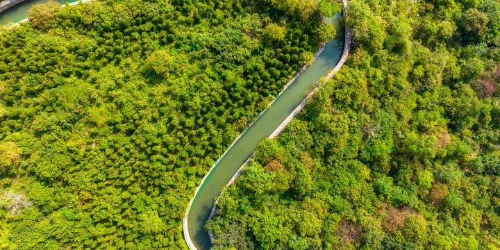The Red Flag Canal Scenic Area