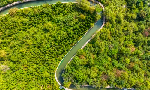 The Red Flag Canal Scenic Area