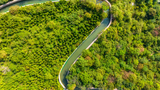 The Red Flag Canal Scenic Area