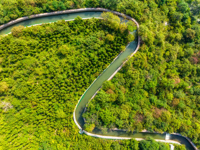Red Flag Canal Scenic Area