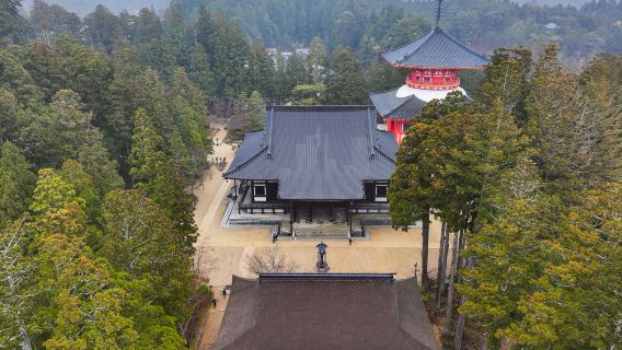 Kongobu-ji Danjo Garan (Elevated Precinct)