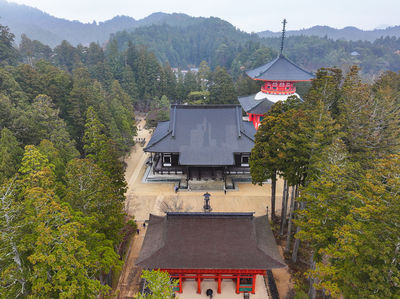 Kongobu-ji Danjo Garan (Elevated Precinct)