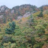 Mt. Seoraksan