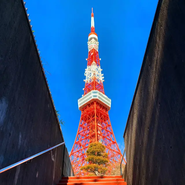 東京　tower