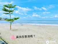 偽旅行