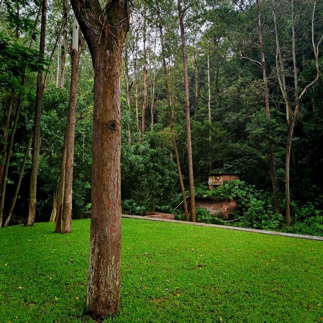 Huolu Mountain Forest Park 