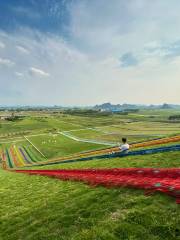 Tianjiao Grassland International Grass Skiing Field