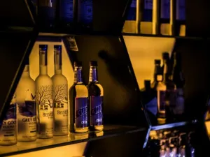 FOLLOW LOUNGE