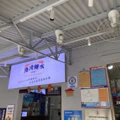 港湾糖水 User Photo