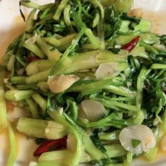 LAO ZAO WEI DAO User Photo