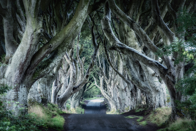 Top-10 Scariest Nature Adventures You Can Visit for Halloween 2021