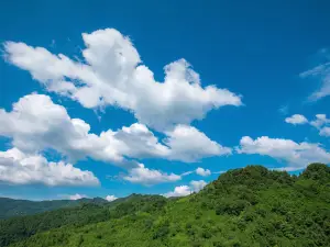 다포링 고개 성급삼림공원