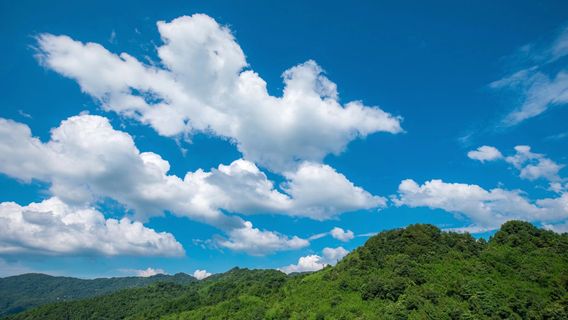 Dapoling Provincial Forest Park