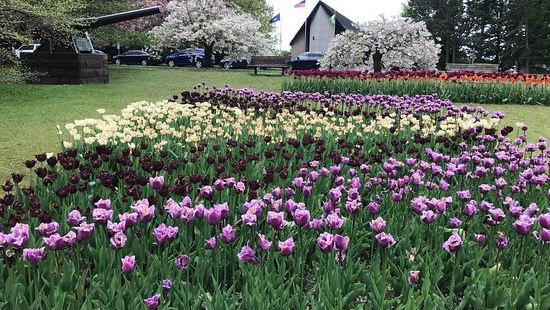 是個散步的好公園。一定要参觀植物園。我們還趕上了鬱金香花園的