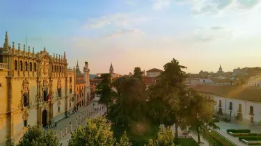 Université d'Alcalá de Henares