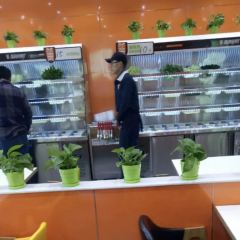 张亮麻辣烫(蓝色港湾店) User Photo