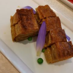 Song helou User Photo