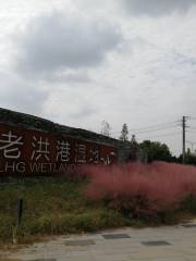 南通老洪港濕地公園