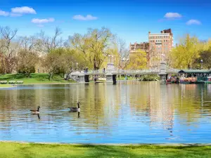 Boston Public Garden