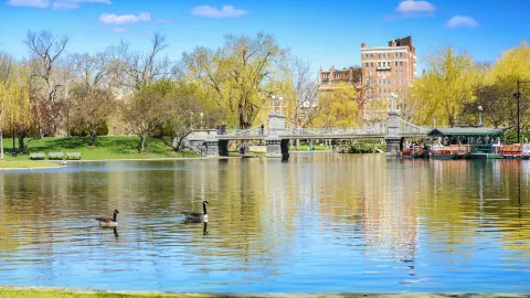 Boston Public Garden attraction in Boston