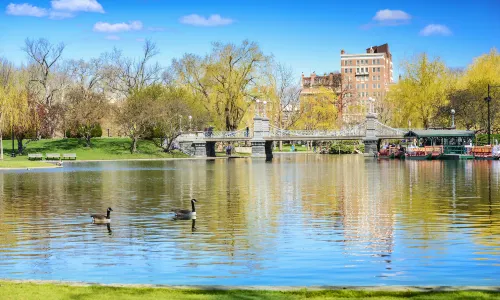 Boston Public Garden