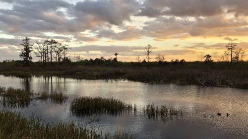 Fujin National Wetland Park