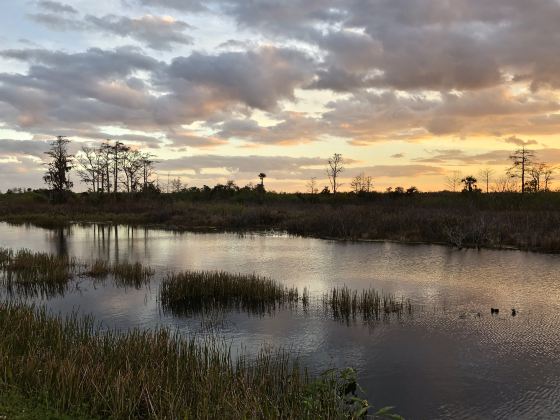 Fujin National Wetland Park