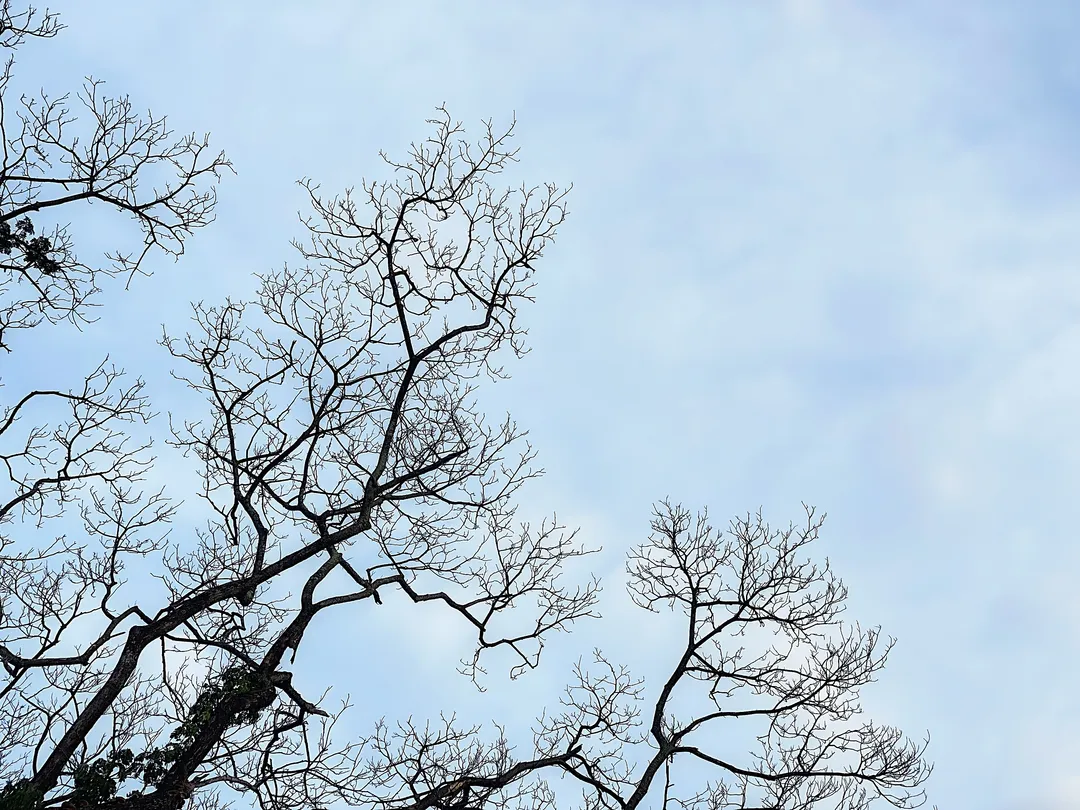 1_Mount Tanglang Country Park