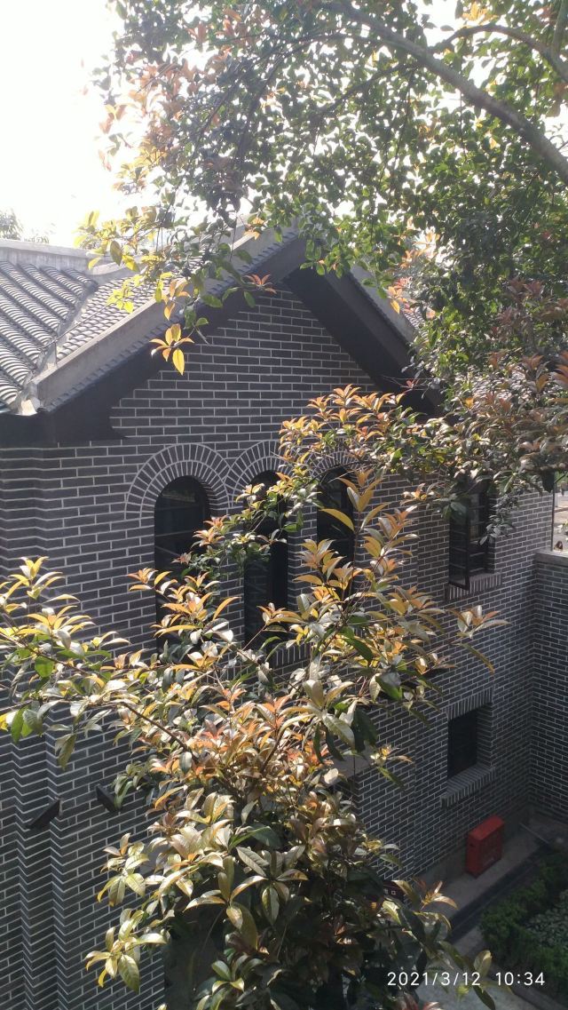 桂園