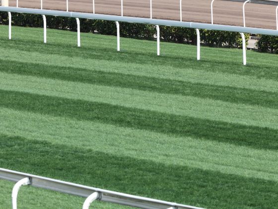 Sha Tin Racecourse
