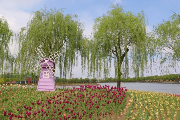 Motel 168 (Langfang high speed railway station new Chaoyang Shopping Center store)