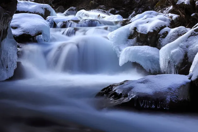 Wenchuan Yingjiangjing B&B Inn