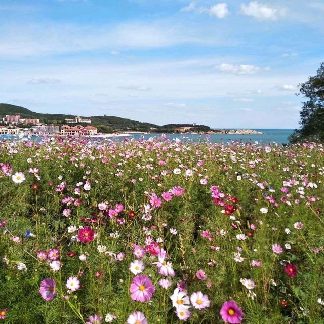 Weihai