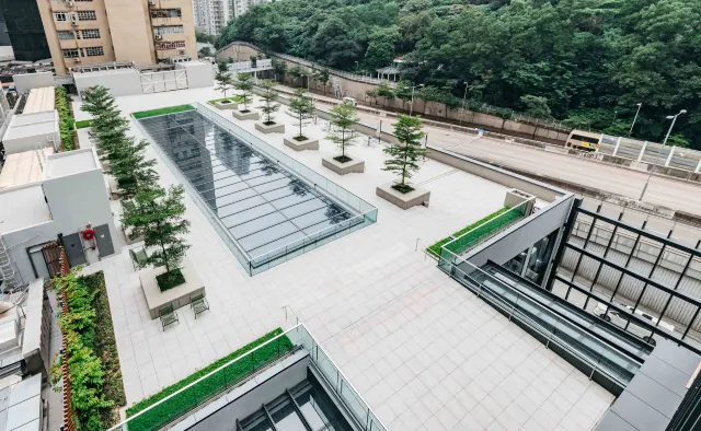 【2026寵物公園】12個狗公園推薦！全港室內外寵物好去處  