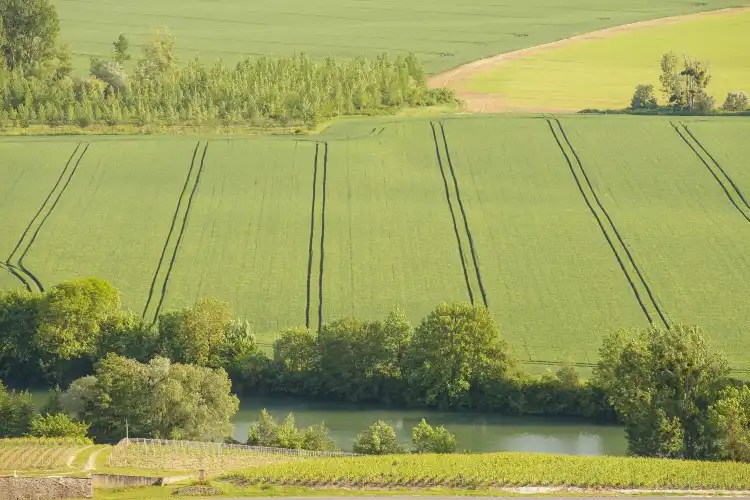 Champs-Sur-Marne