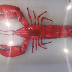 liangliang User Photo