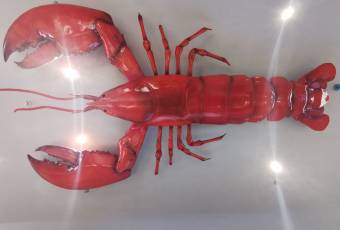 Liangliang Signature Steamed Shrimp (Xuesong Road Main Branch) user photo