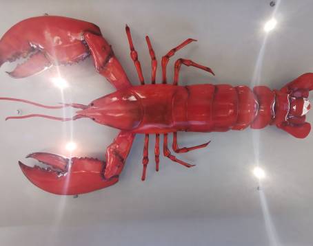 Liangliang Signature Steamed Shrimp (Xuesong Road Main Branch)