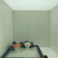 Marienbad Cafe User Photo