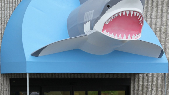 That Fish Place - That Pet Place