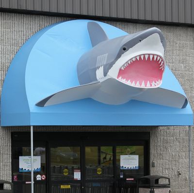 That Fish Place - That Pet Place