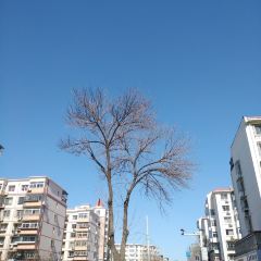 TIANJINSHIZHIMEIZHAISHIPINYOUXIANGONGSI 여행 사진