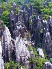 Hezhou Stone Forest