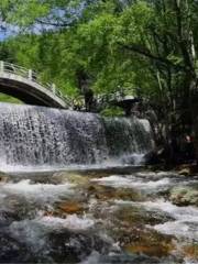 Weihushanguojia Forest Park