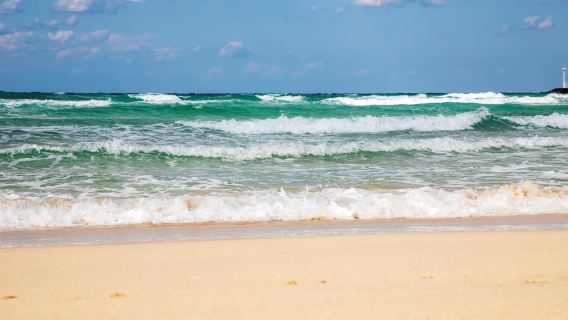 小羊肖恩+挾才海水浴場+ARTE全沉浸式美術館一日遊【中文司機】