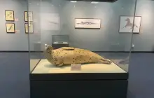 Sanya Museum of Natural History