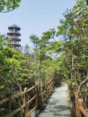 Cenwanglaoshan Sceneic Area