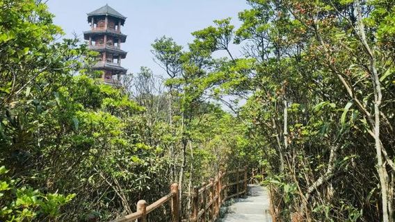 Cenwanglaoshan Sceneic Area