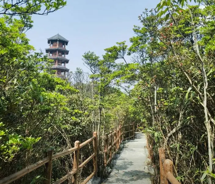 Cenwanglaoshan Sceneic Area