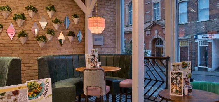 Slug  Lettuce St Albans